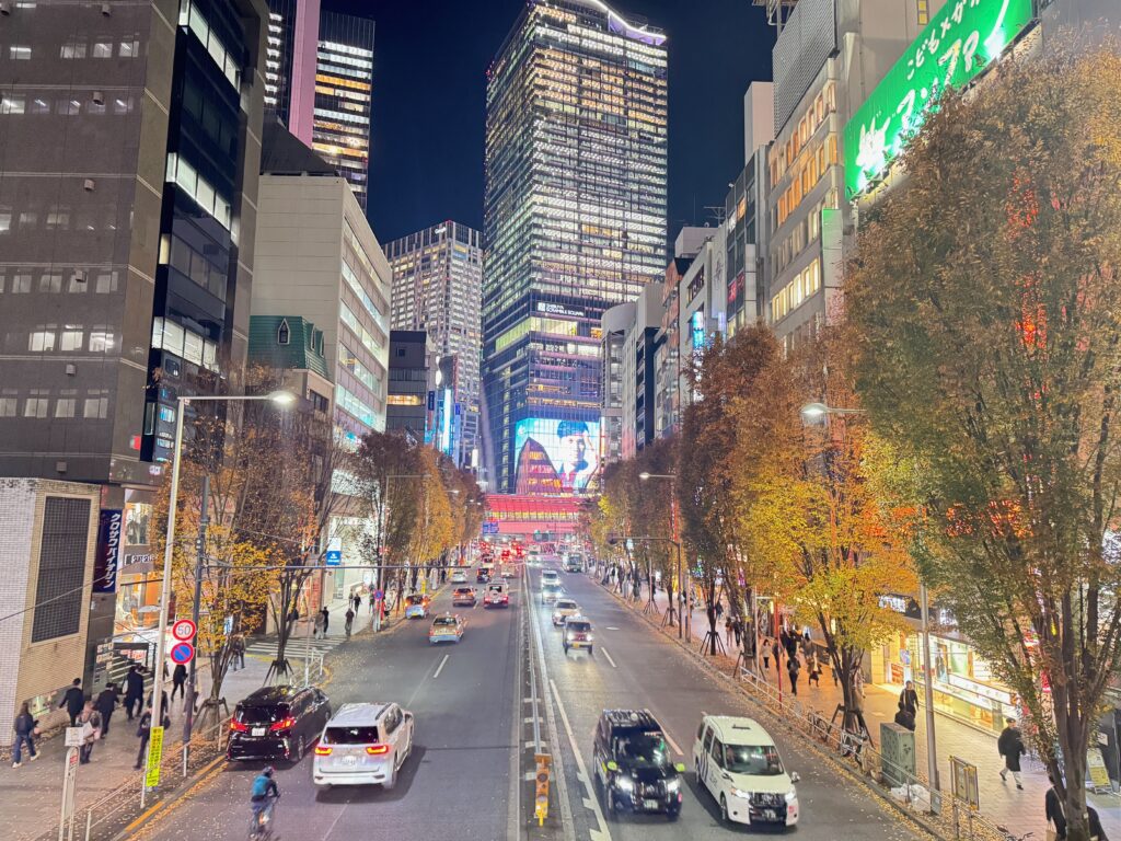 Shiibuya-Meijidoori