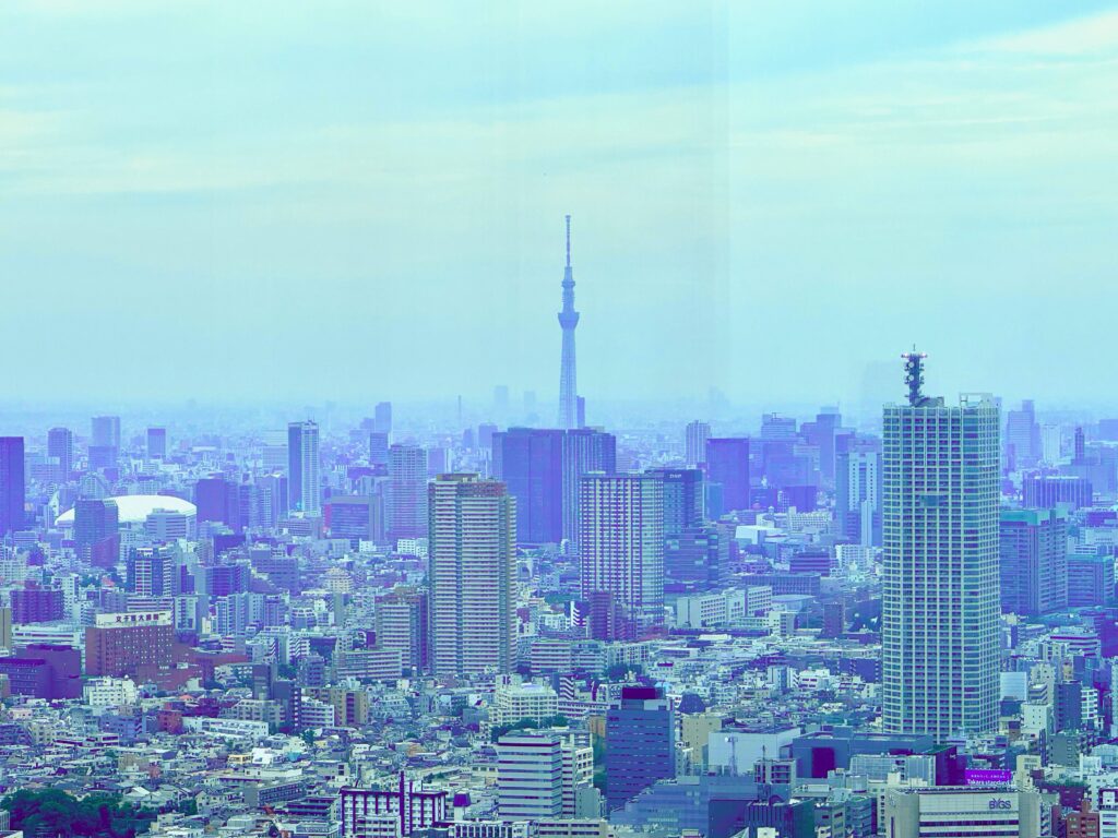 Tokyo skyline view