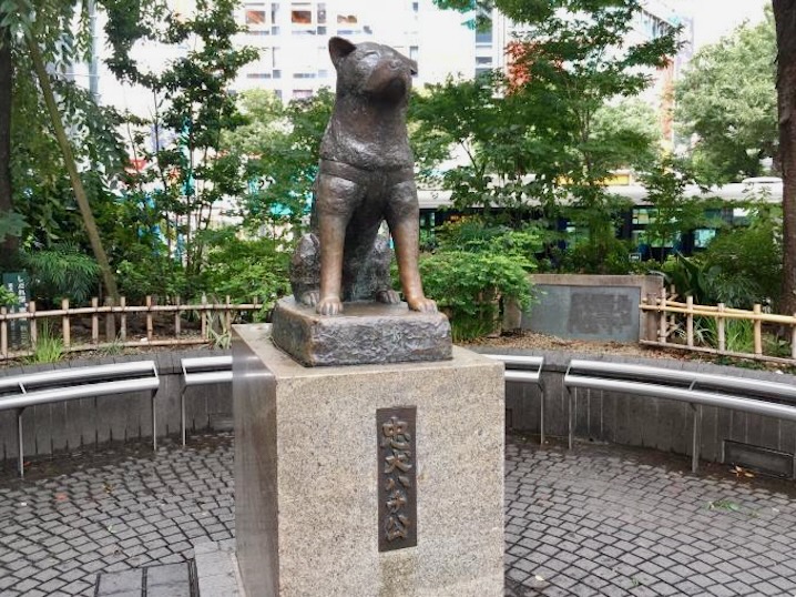 Hachiko Statue at Shibuya